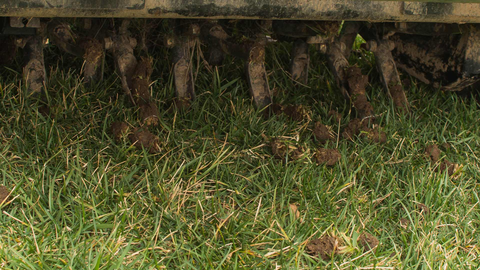 Liquid Aeration vs Core Aeration - Which Option Is Right for You?