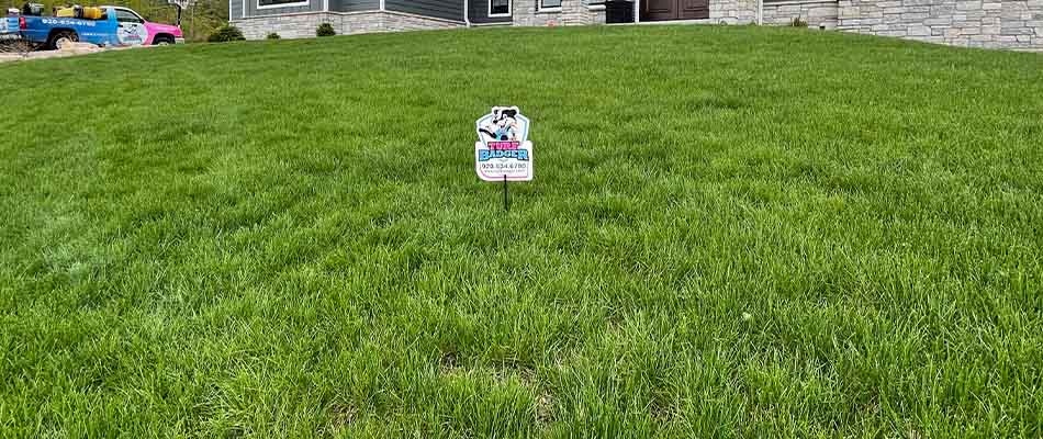 A healthy and fertilized lawn in Greenville, WI.