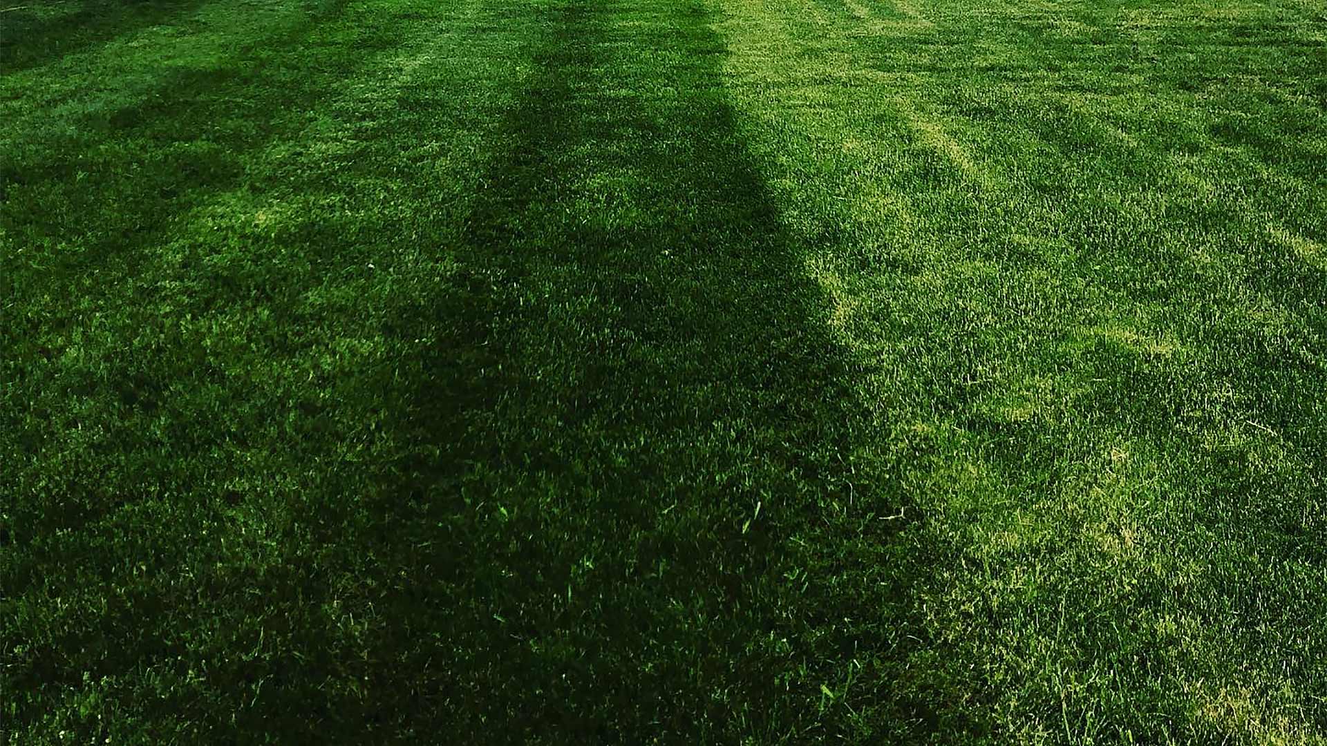Green Bay, Wisconsin home with dark green, fertilized lawn grass.
