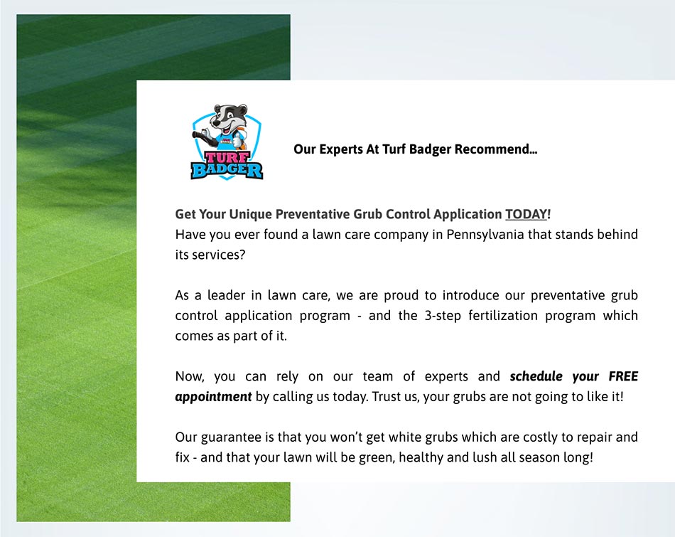 Turf Badger grub control services recommendation.