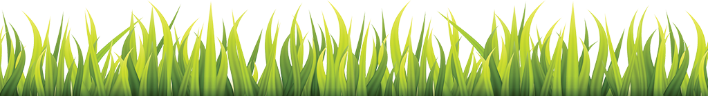 Grass graphic